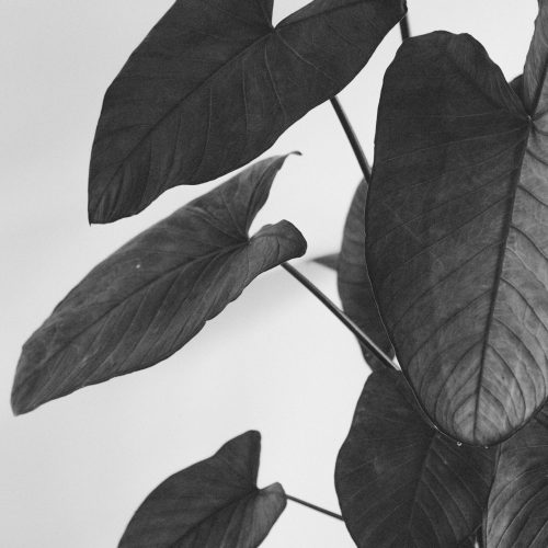 jose-ignacio-pompe-e9a-F9zRbbM-unsplash